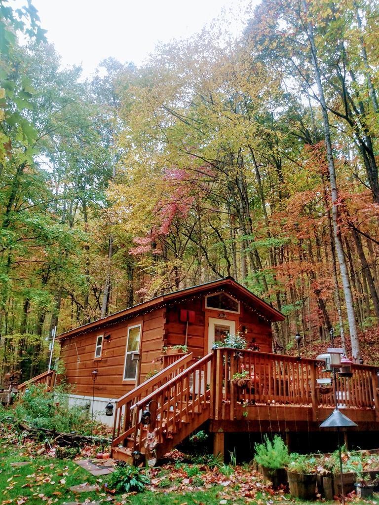 Main View