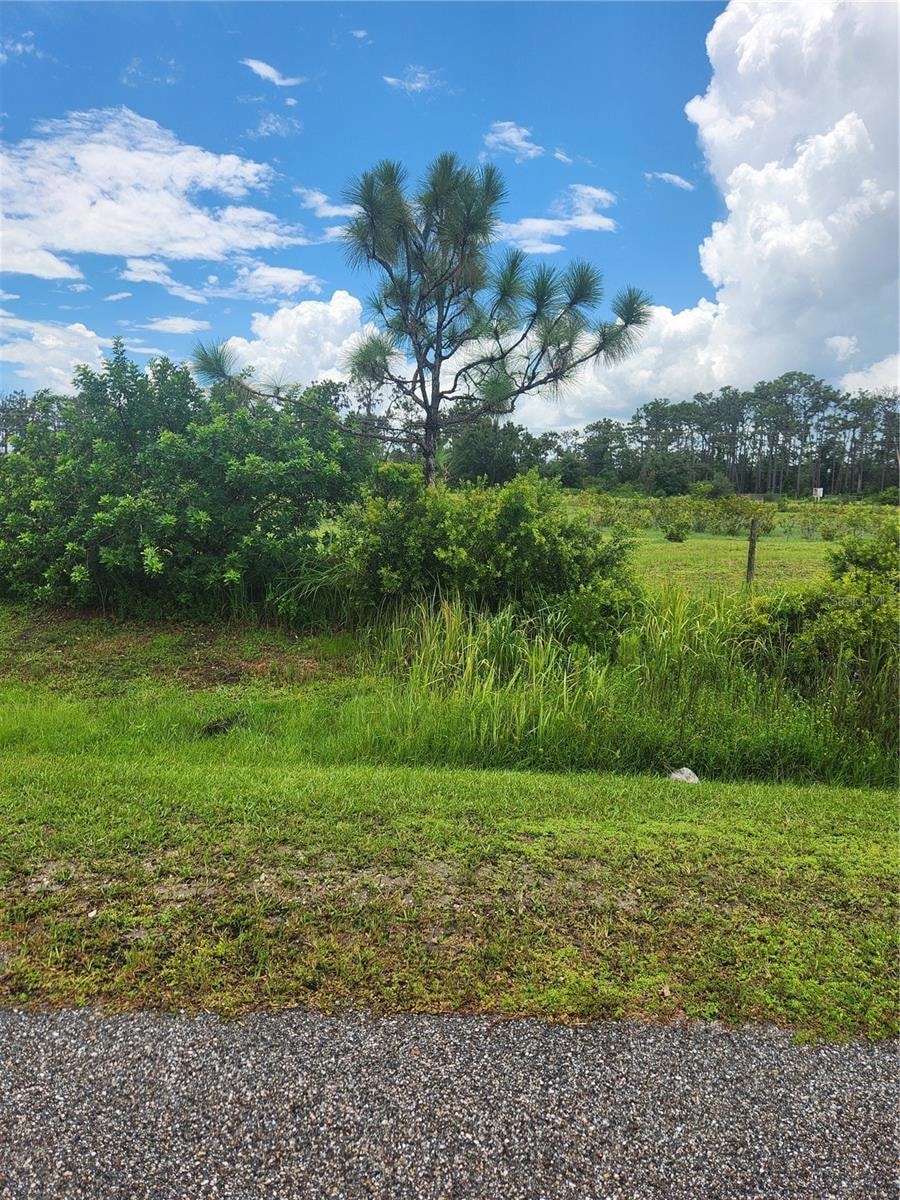 0 84th Ave E, Myakka City, FL 34251 - photo 1