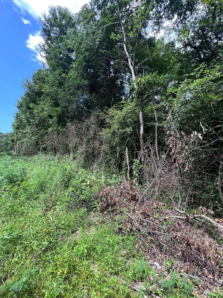 00 Jordan Chapel Rd, Oxford, MS 38655 - photo 1