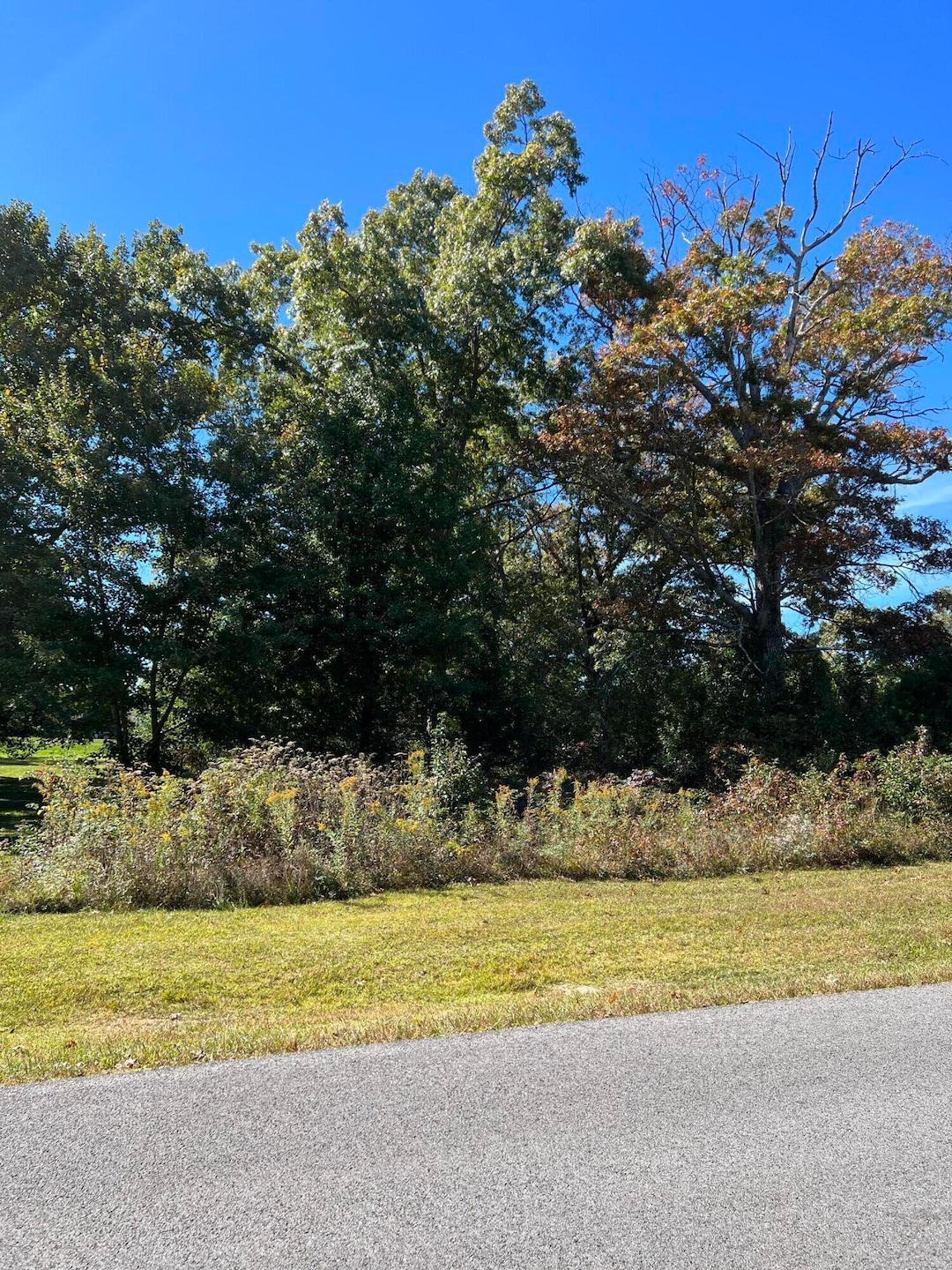 1012 Ridley Dr, Crossville, TN 38572 - photo 1