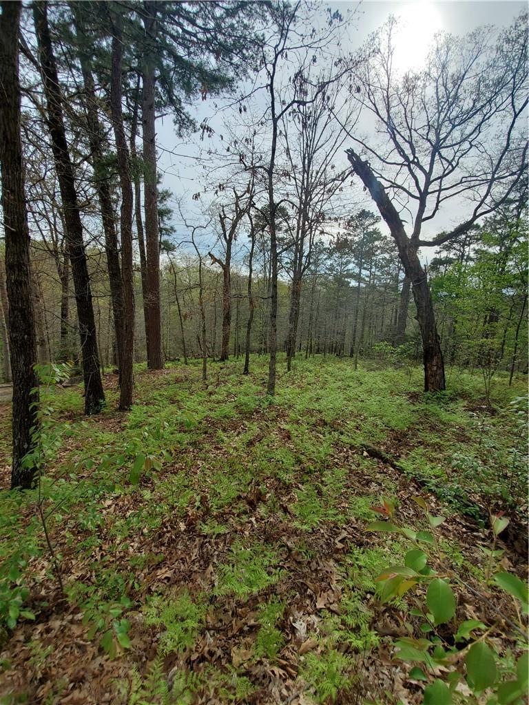 0 Hursley, Bella Vista, AR 72714 - photo 1