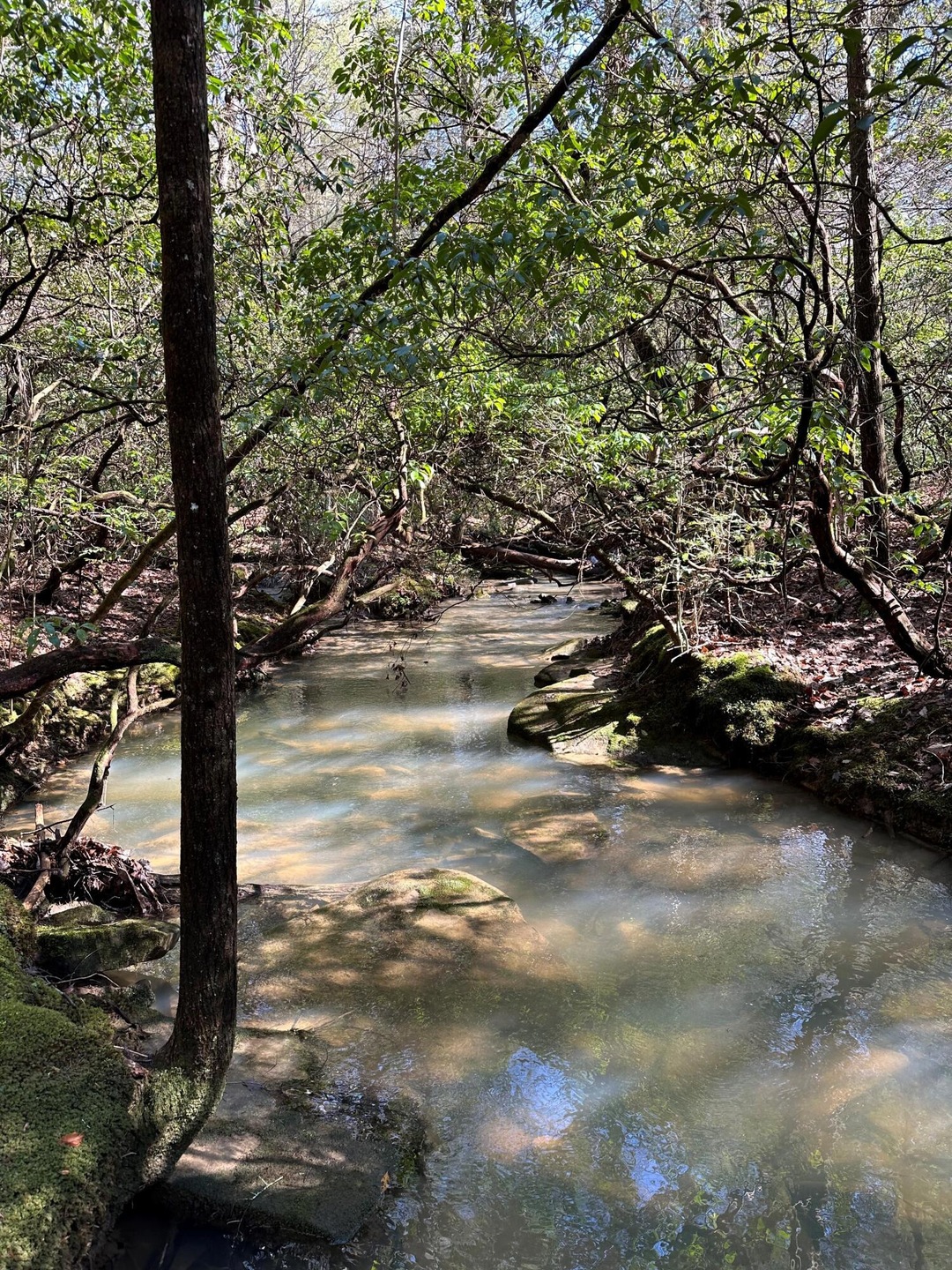 Tract 15 Thomas Springs Rd, Crossville, TN 38572 - photo 1