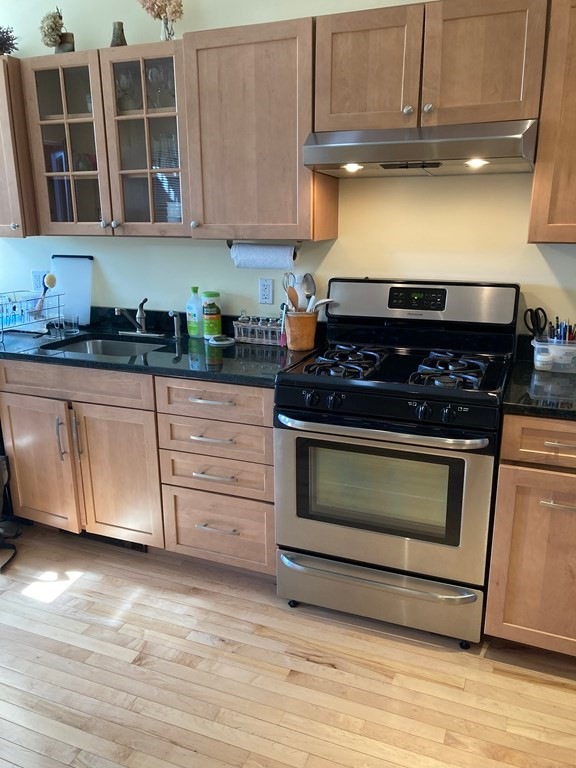 42 Bigelow St unit 2, Cambridge, MA 02139 - photo 1