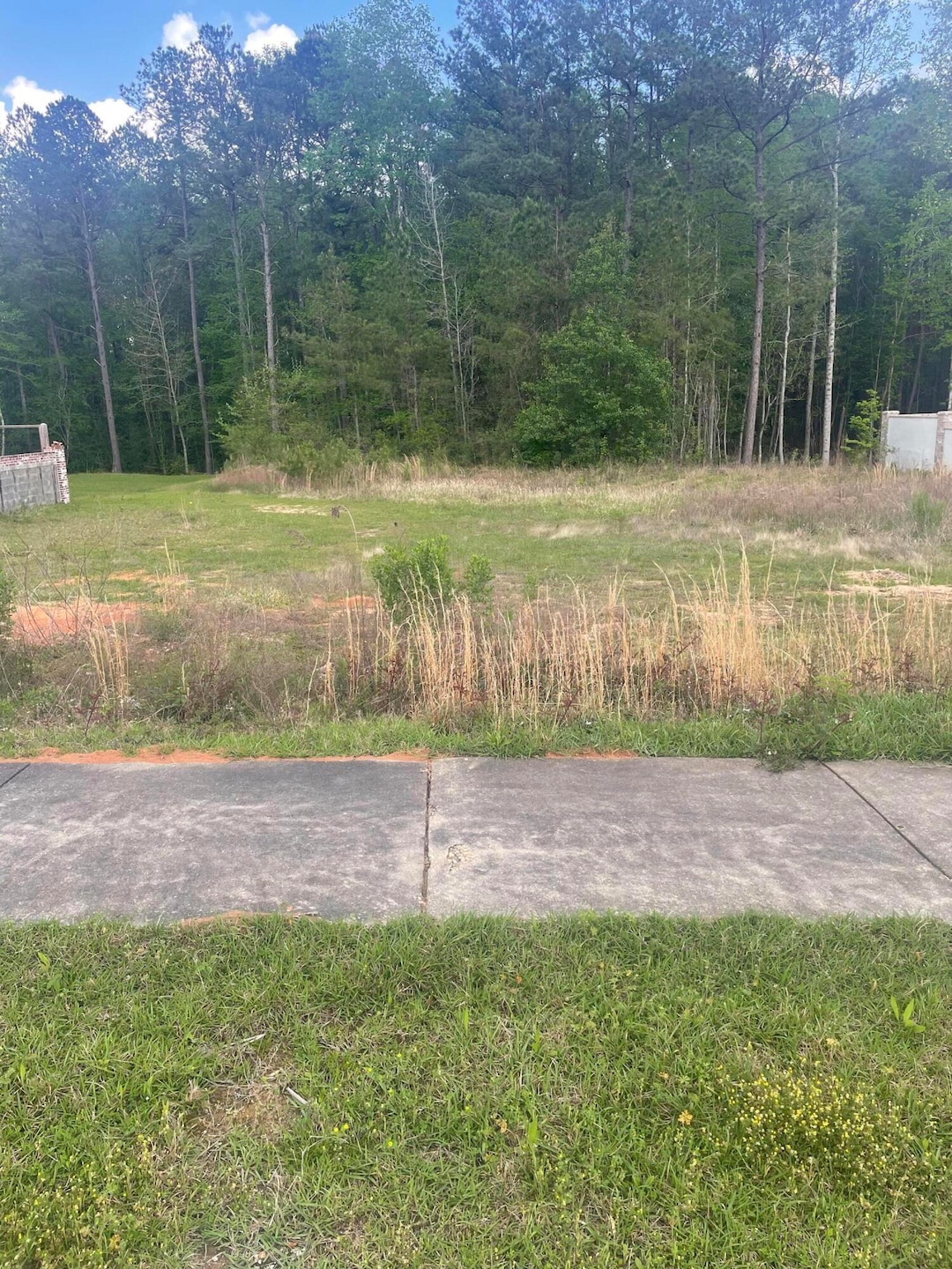 Cherry Laurel Loop Lot J-20