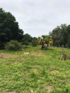 19480 & 19428 NW 304th St, Okeechobee, FL 34972 - photo 1