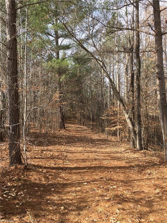 Tract 3 Moonlight Meadow Rd, Asheboro, NC 27205 - photo 1