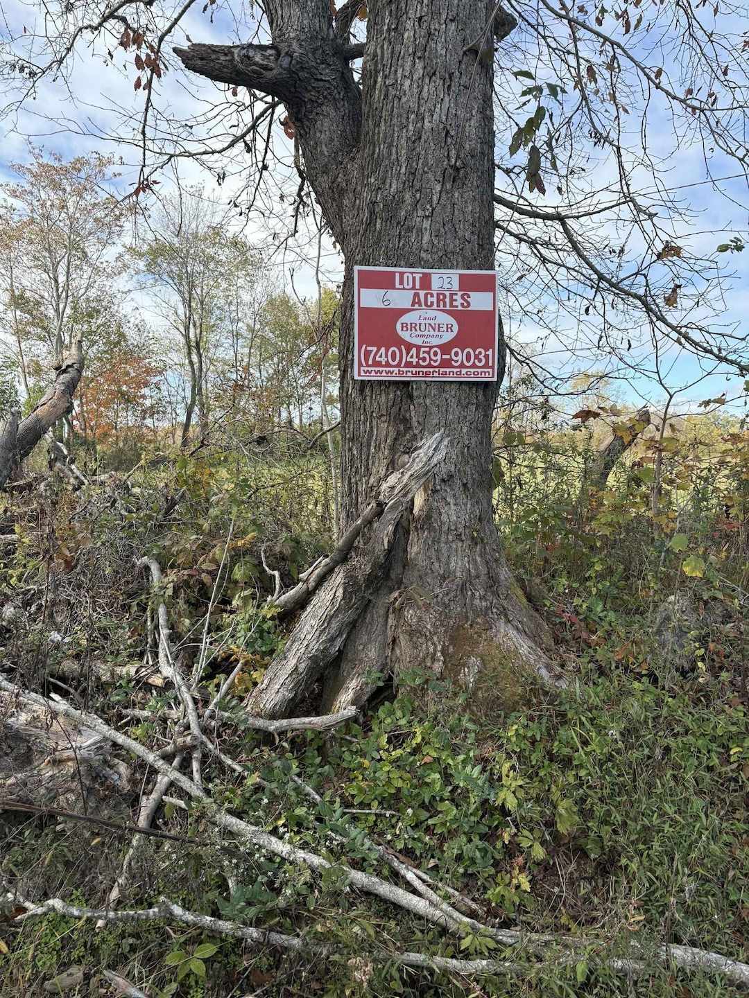 Pine Grove Ch Spur Rd, Vanceburg, KY 41179 - photo 1