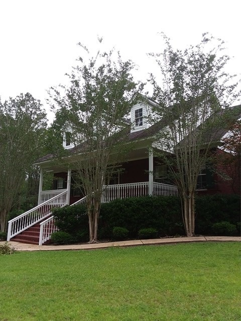 Main View