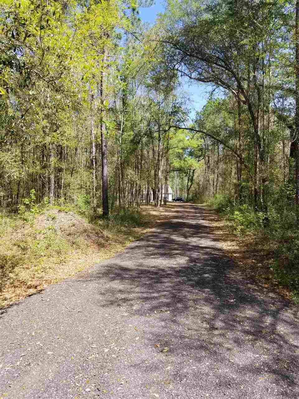 1958 Bloxham Cutoff Rd, Crawfordville, FL 32327 - photo 1