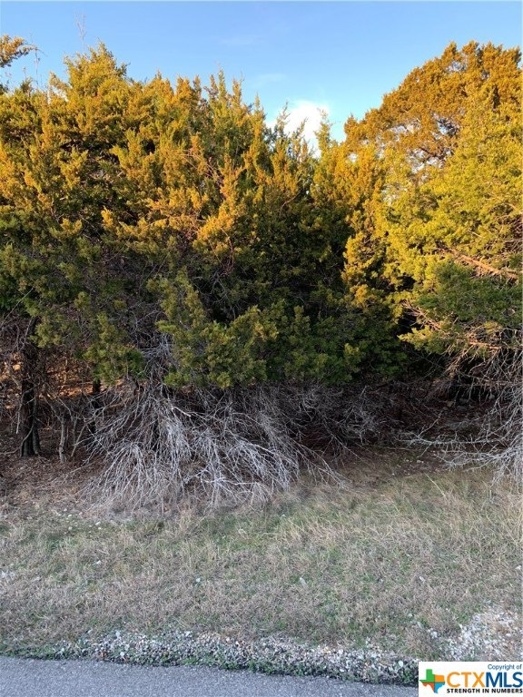 15998 & 16004 &16012 Charlya Dr, Temple, TX 76502 - photo 1