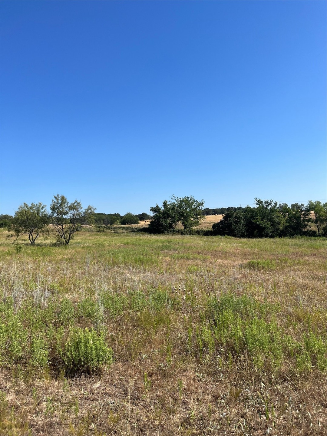 Lot 61 Kilkenny Rd, Poolville, TX 76487 - photo 1