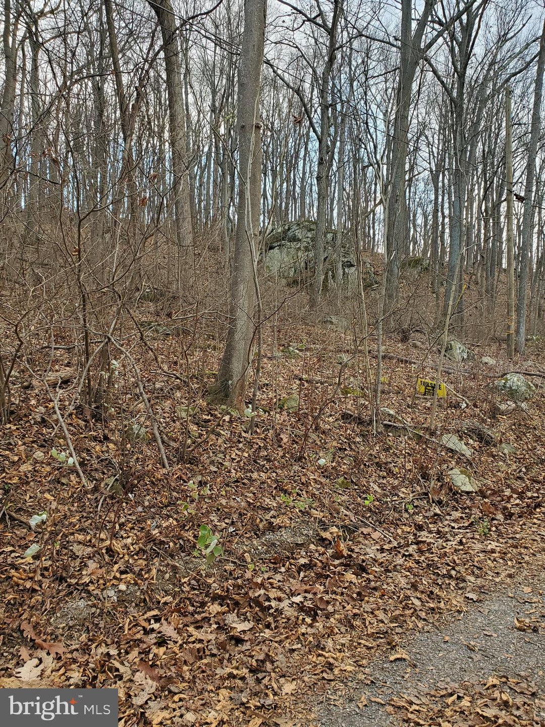 Lot 430 Chipmunk Trail Ln, Riverton, VA 22630 - photo 1