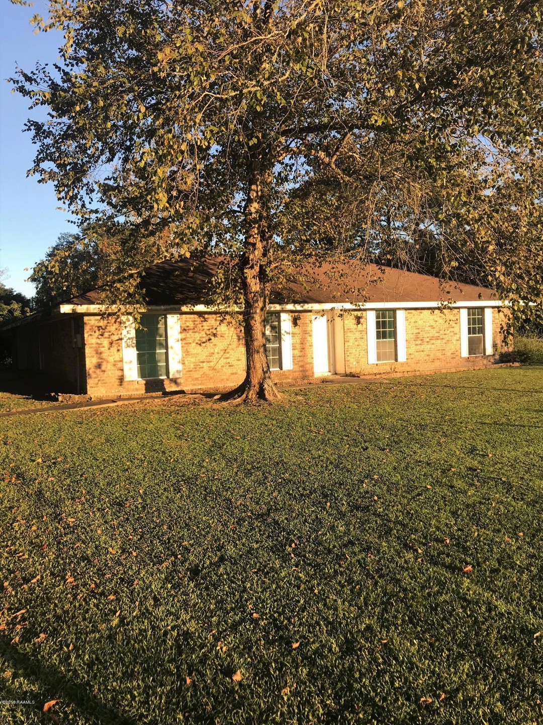 Photo Nov 03, 5 43 56 PM