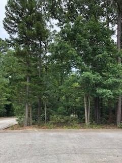 Lot 13 Bonnie Cir, Bella Vista, AR 72714 - photo 1