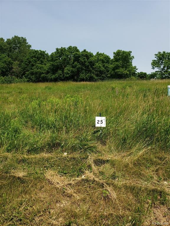 9514 Hickory Hollow Ct, Davison, MI 48423 - photo 1