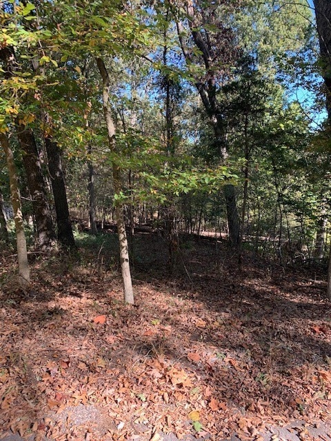 1 Balderton Ln, Bella Vista, AR 72714 - photo 1