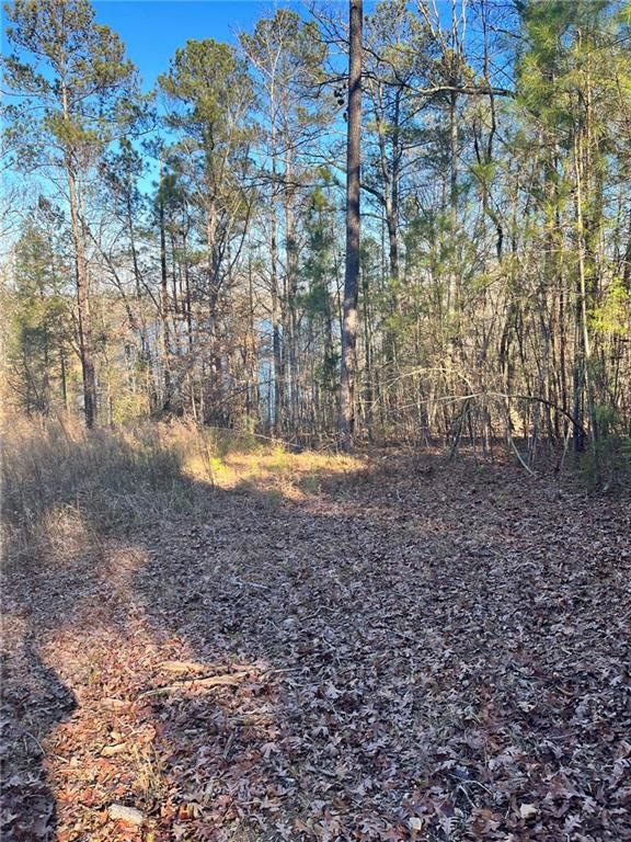 Lot View 1