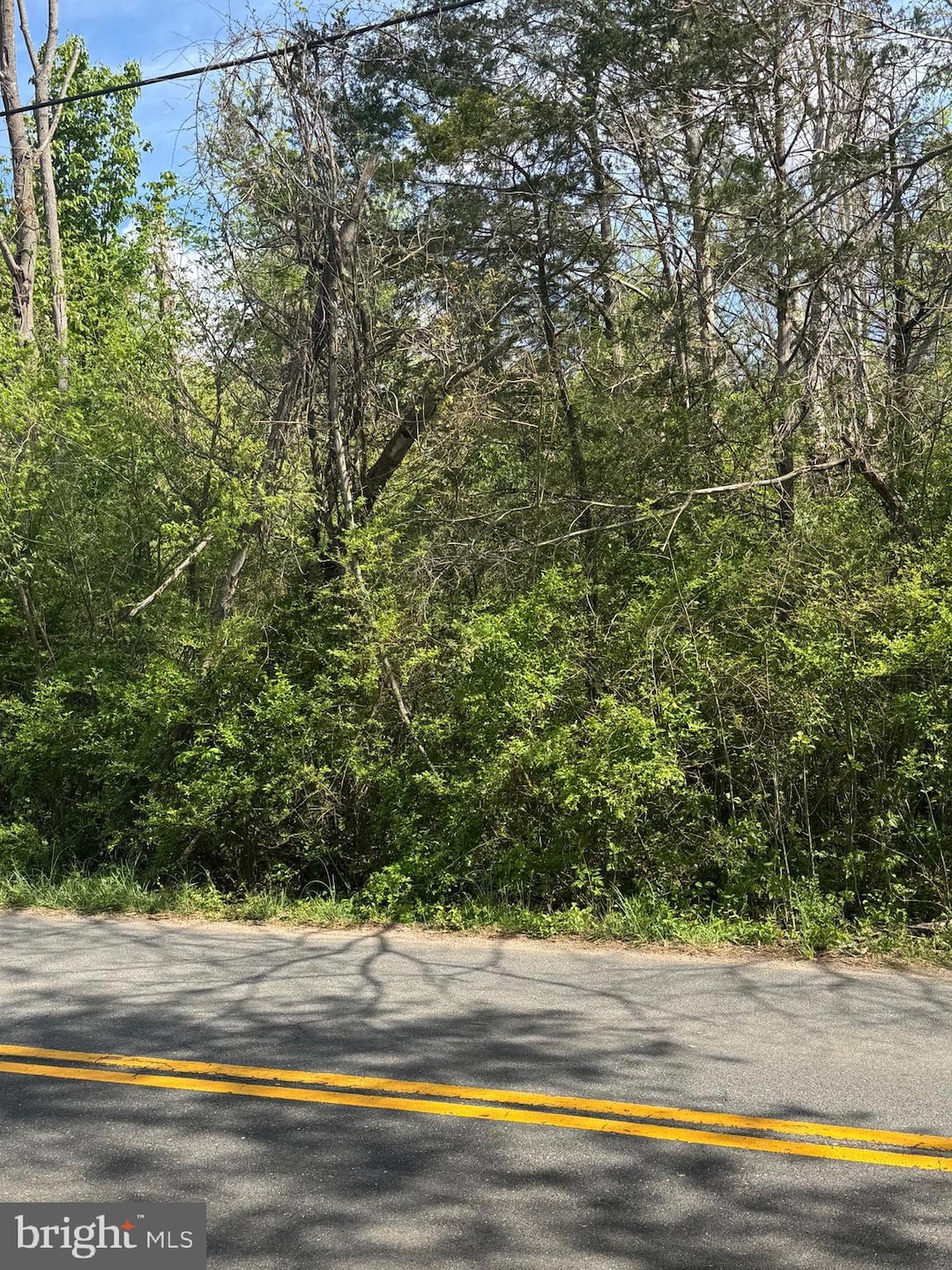 0 N Duey unit VAFQ2016348, Remington, VA 22734 - photo 1