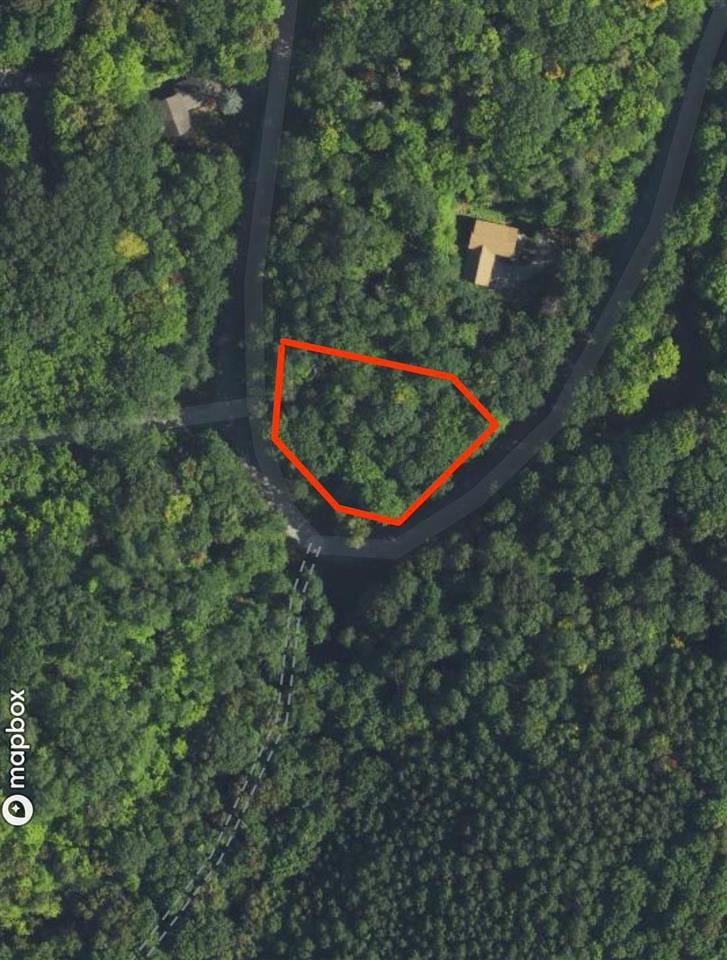 Lot 57 Valley Run Rd unit 57, Custer Township, MI 49615 - photo 1