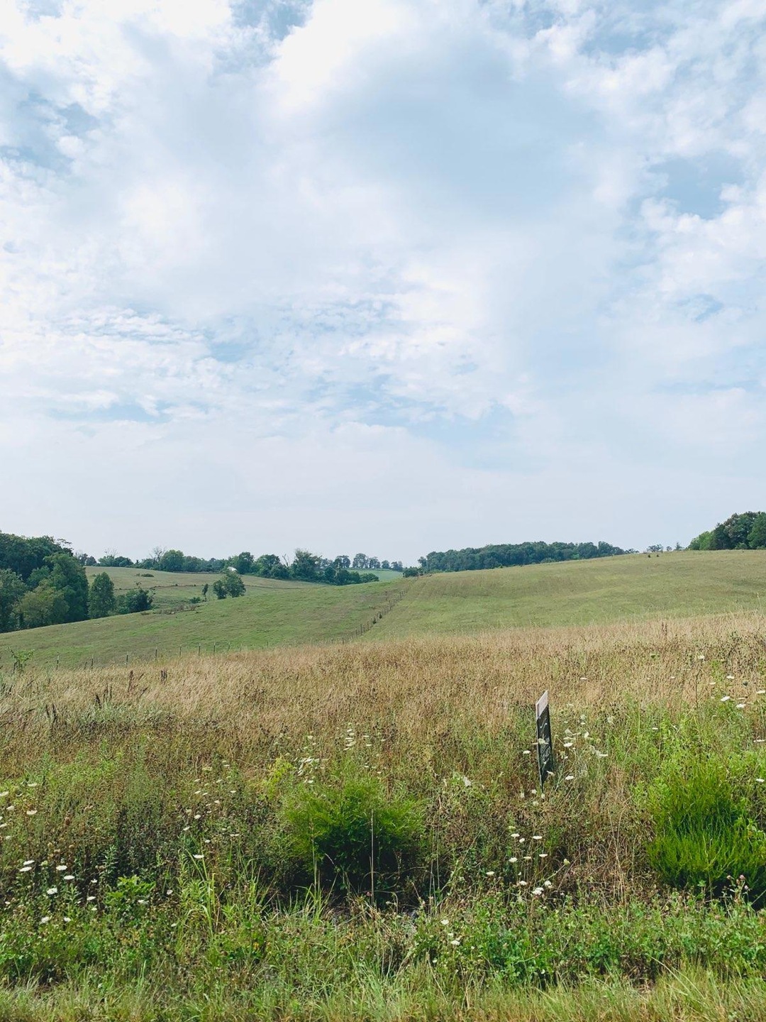 0 Lookout Dr unit 1161012, Rutledge, TN 37861 - photo 1