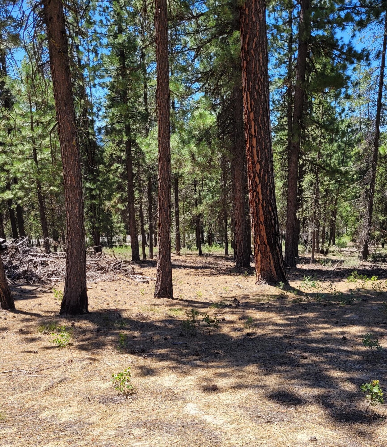 For Sale $249,000 • Co-Listing Agent