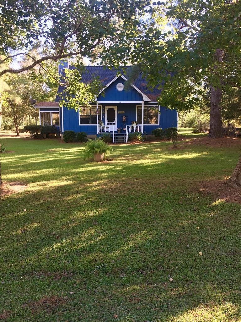 Main View