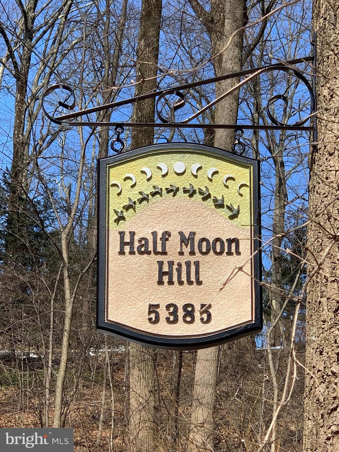 5385 Ridgeview Dr, Doylestown, PA 18902 - photo 1