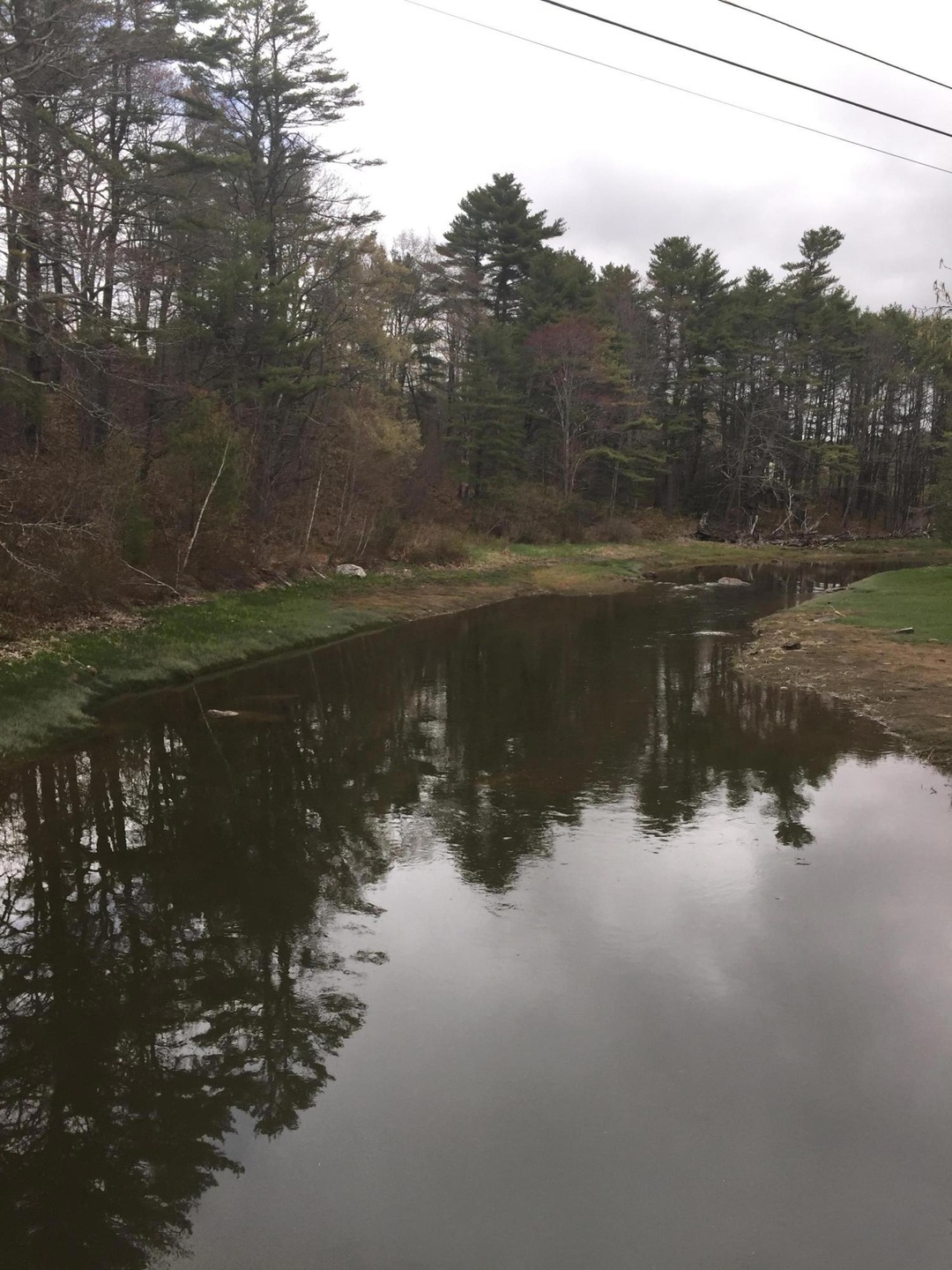 Tidal Mill Creek, Polly Clark Brook