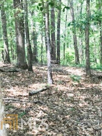 0 Maple Park Dr unit 6985460, Winder, GA 30680 - photo 1