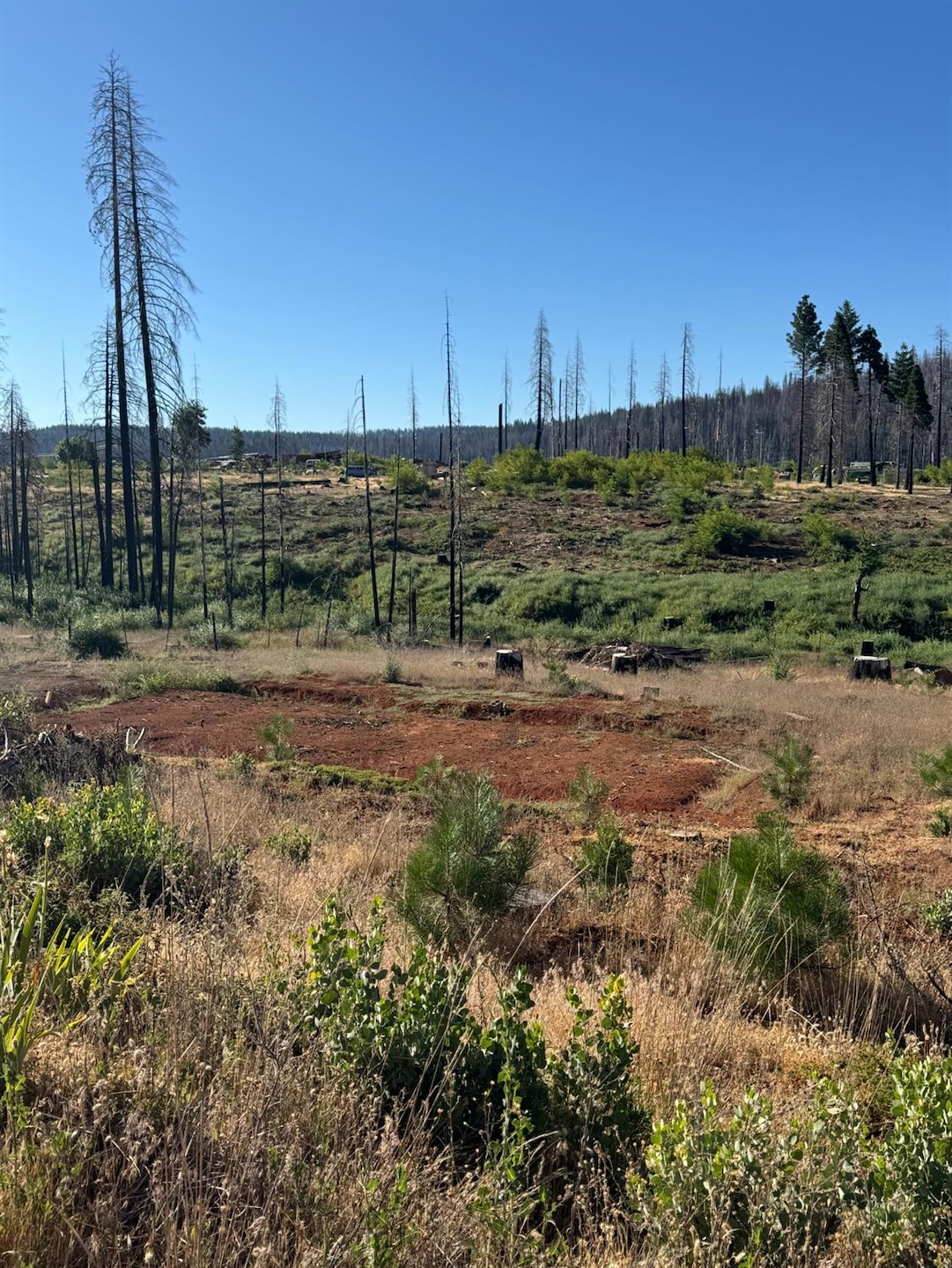 4491 String Canyon Rd, Grizzly Flats, CA 95636 - photo 1