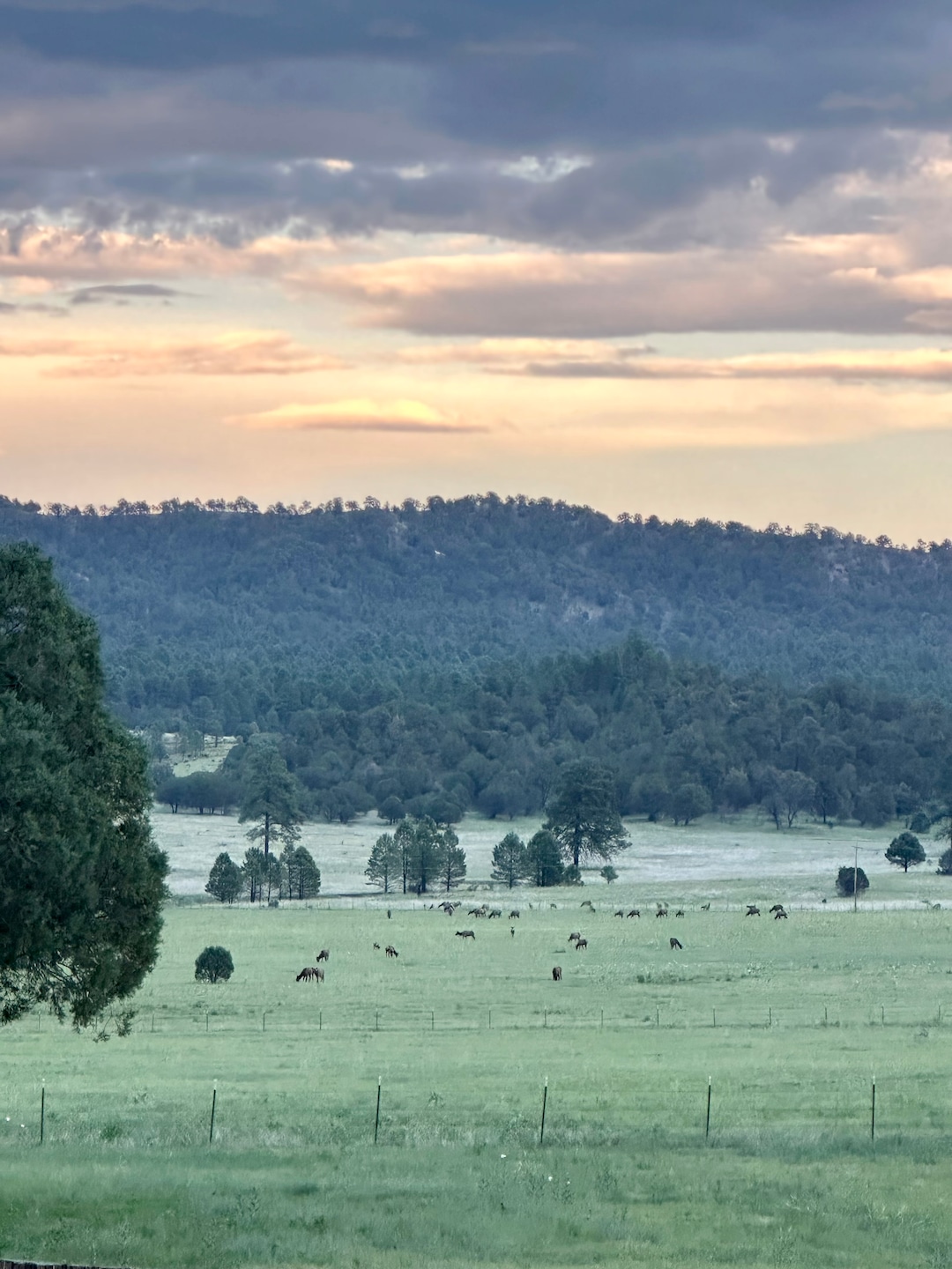 200 Meadow Ln, Mimbres, NM 88049 - photo 1