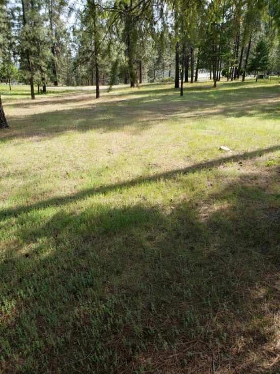 256 Eagle DR ph 1