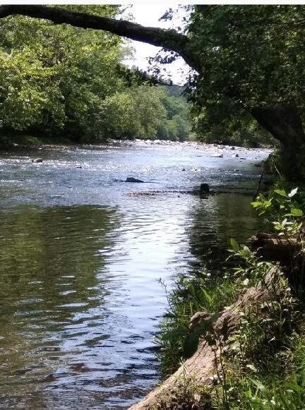 River