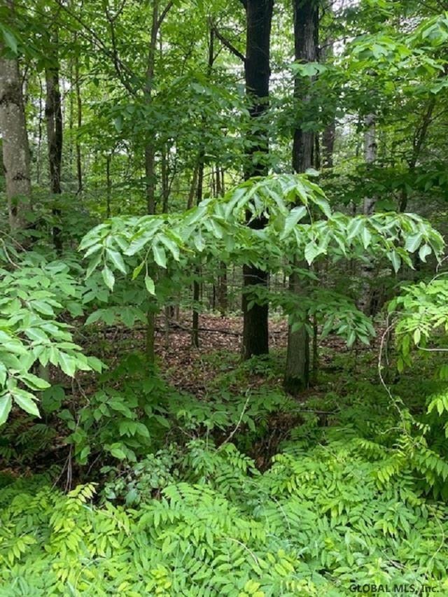 0 Parker Rd unit 202119719, Hadley, NY 12835 - photo 1