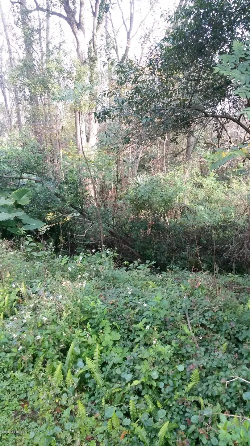 0 Arlington Rd unit 1038836, Jacksonville, FL 32211 - photo 1