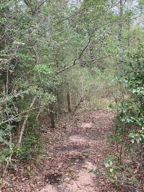 View of local wilderness featuring a wooded view