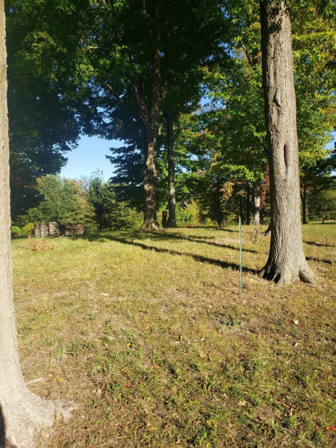 20201005_165521