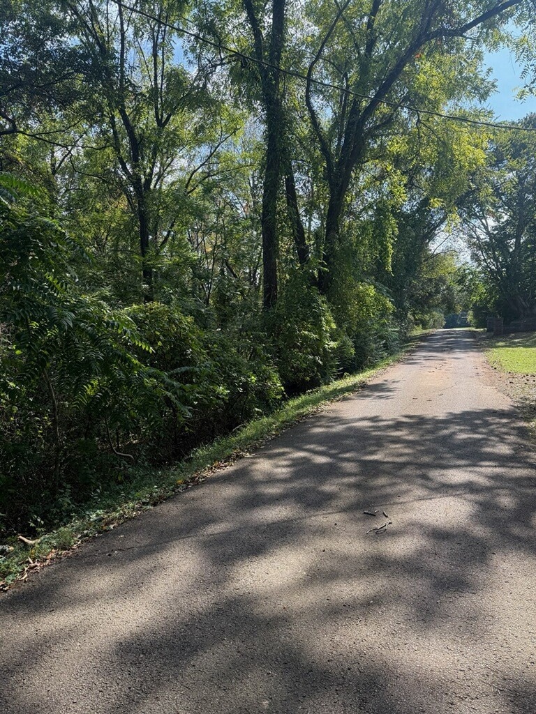 Shady wooded land with mature trees! 0 Little Street Winchester, Tn 37398