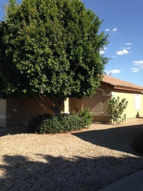 Pima front