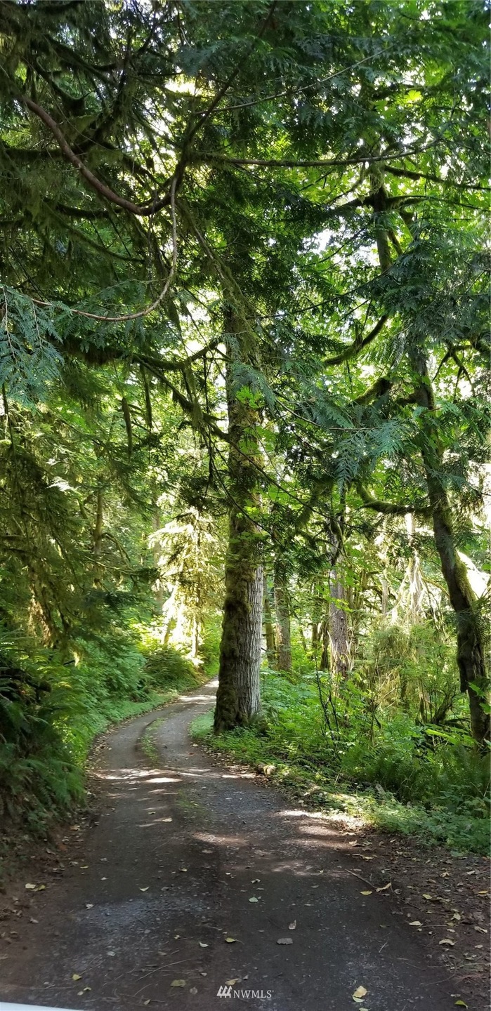 0 Mountain Loop Hwy unit NWM1970537, Granite Falls, WA 98252 - photo 1