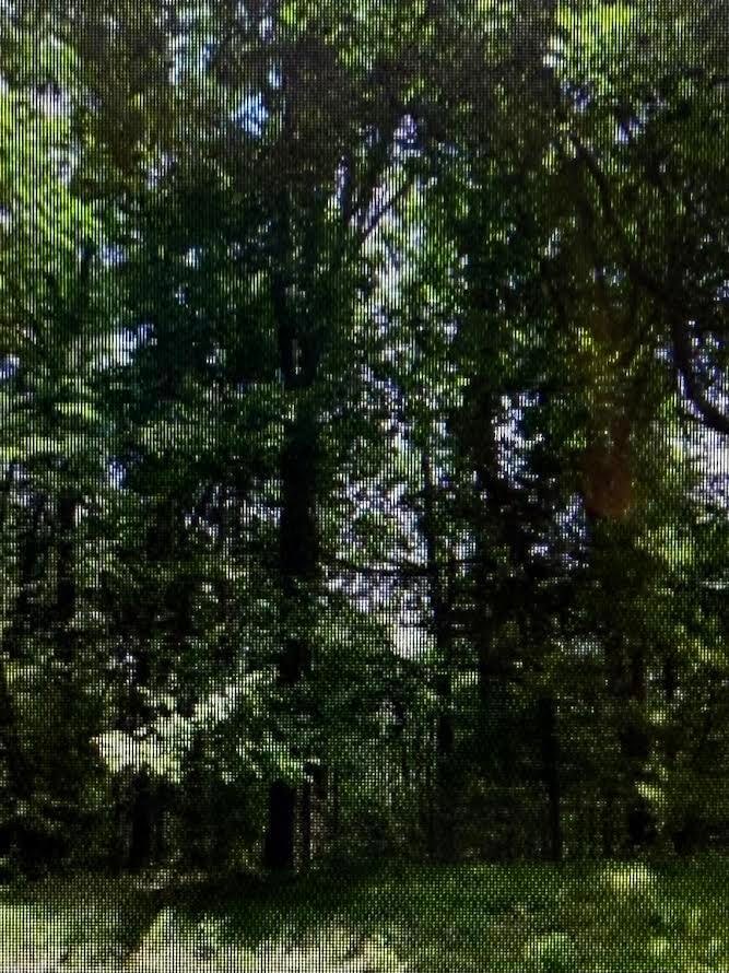 0 Raintree Rd unit 921906, Cave Spring, VA 24018 - photo 1