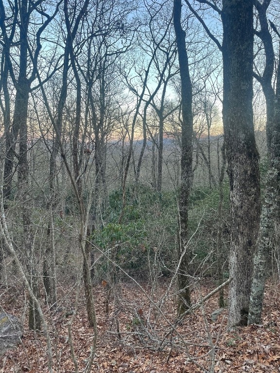 00 Zeb Buchanan Rd, Cullowhee, NC 28723 - photo 1