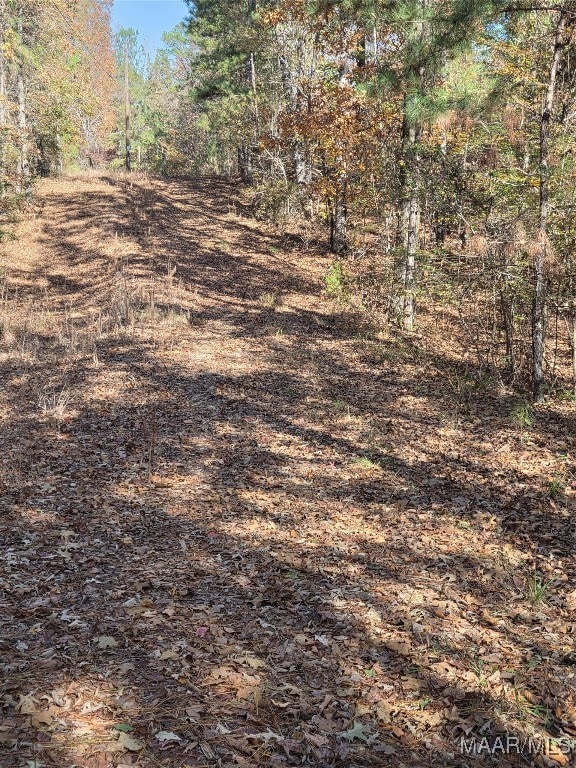 0 Parker Rd, Wetumpka, AL 360 - photo 1