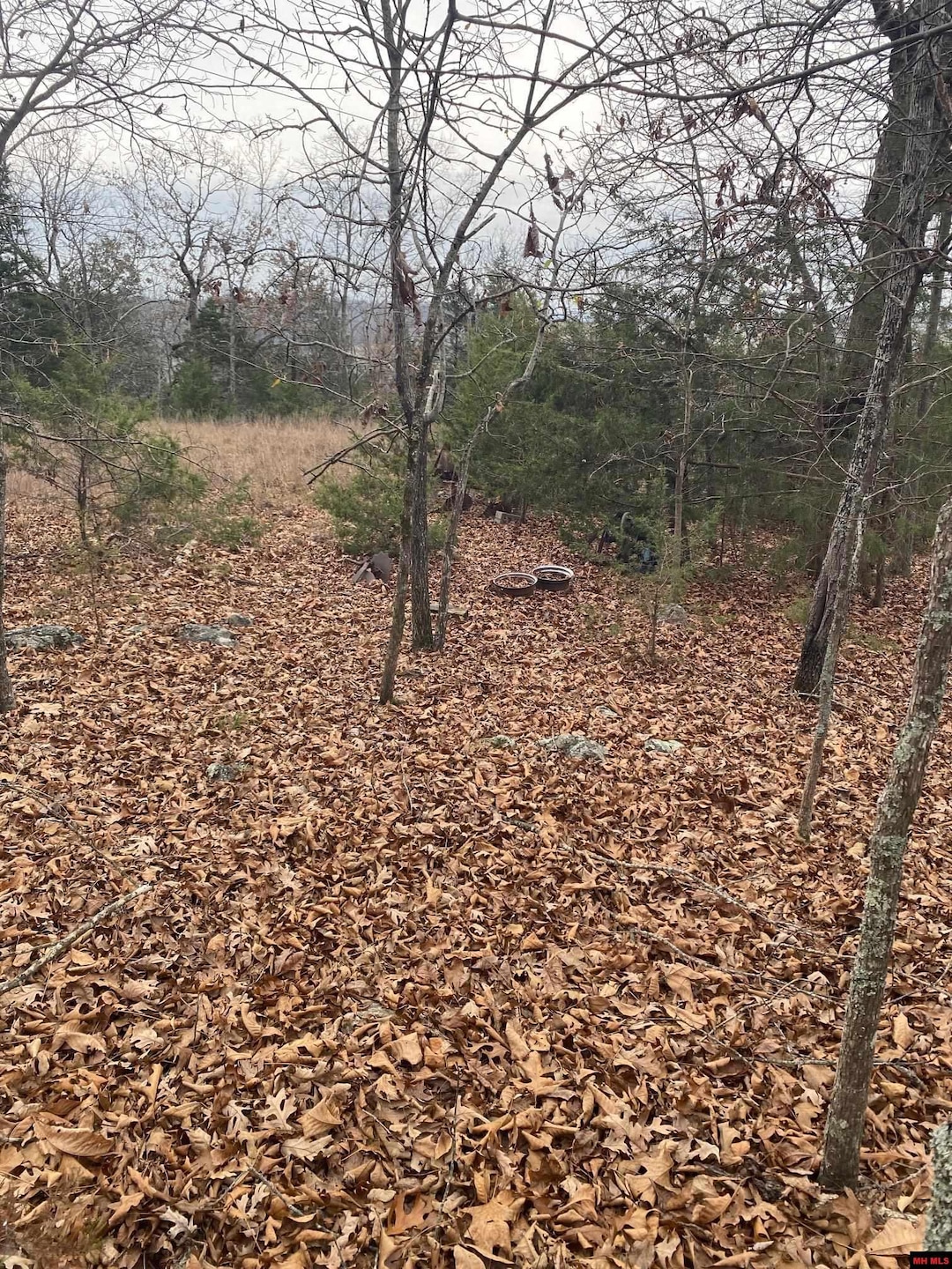 001-02798-001 Island Head Ln, Flippin, AR 72634 - photo 1