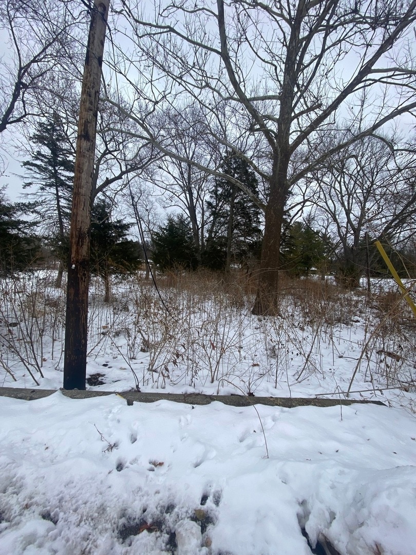 5609 River Rd, Lisle, IL 60532 - photo 1