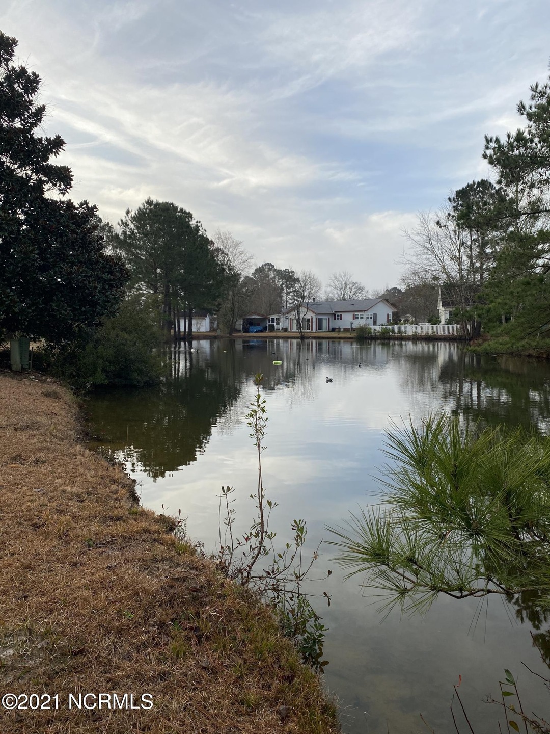 back yard pond