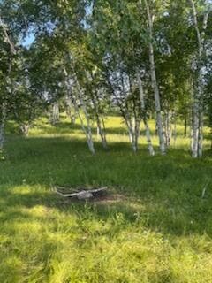 15370 Mallard Rd, Mission Creek Township, MN 55007 - photo 1