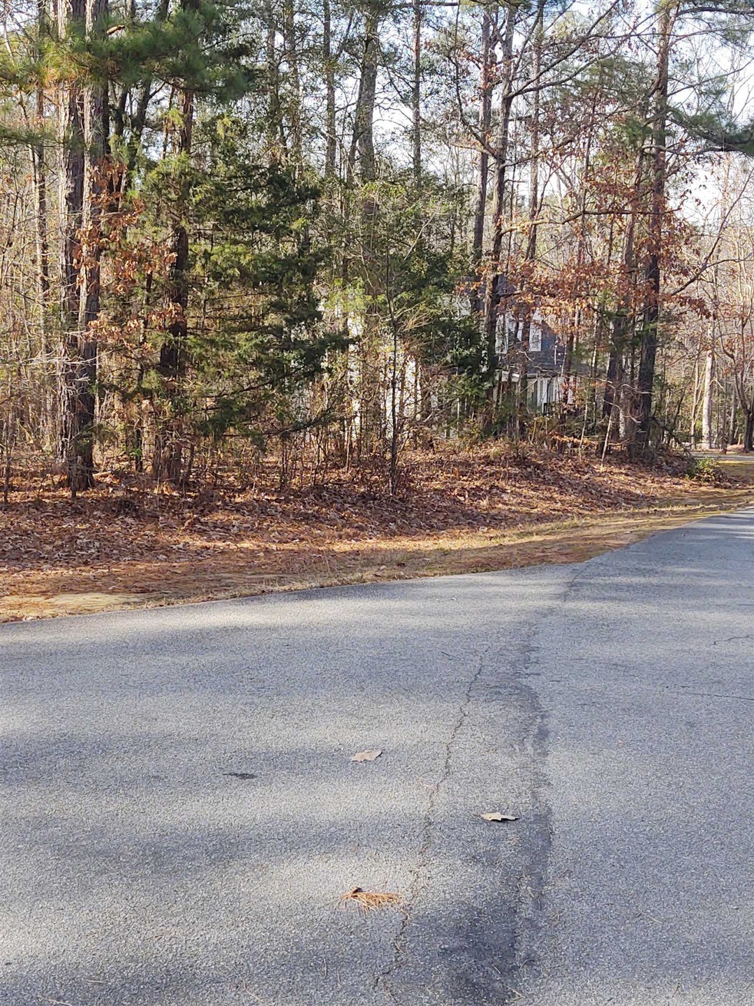 103 Santee Dr, Louisburg, NC 27549 - photo 1