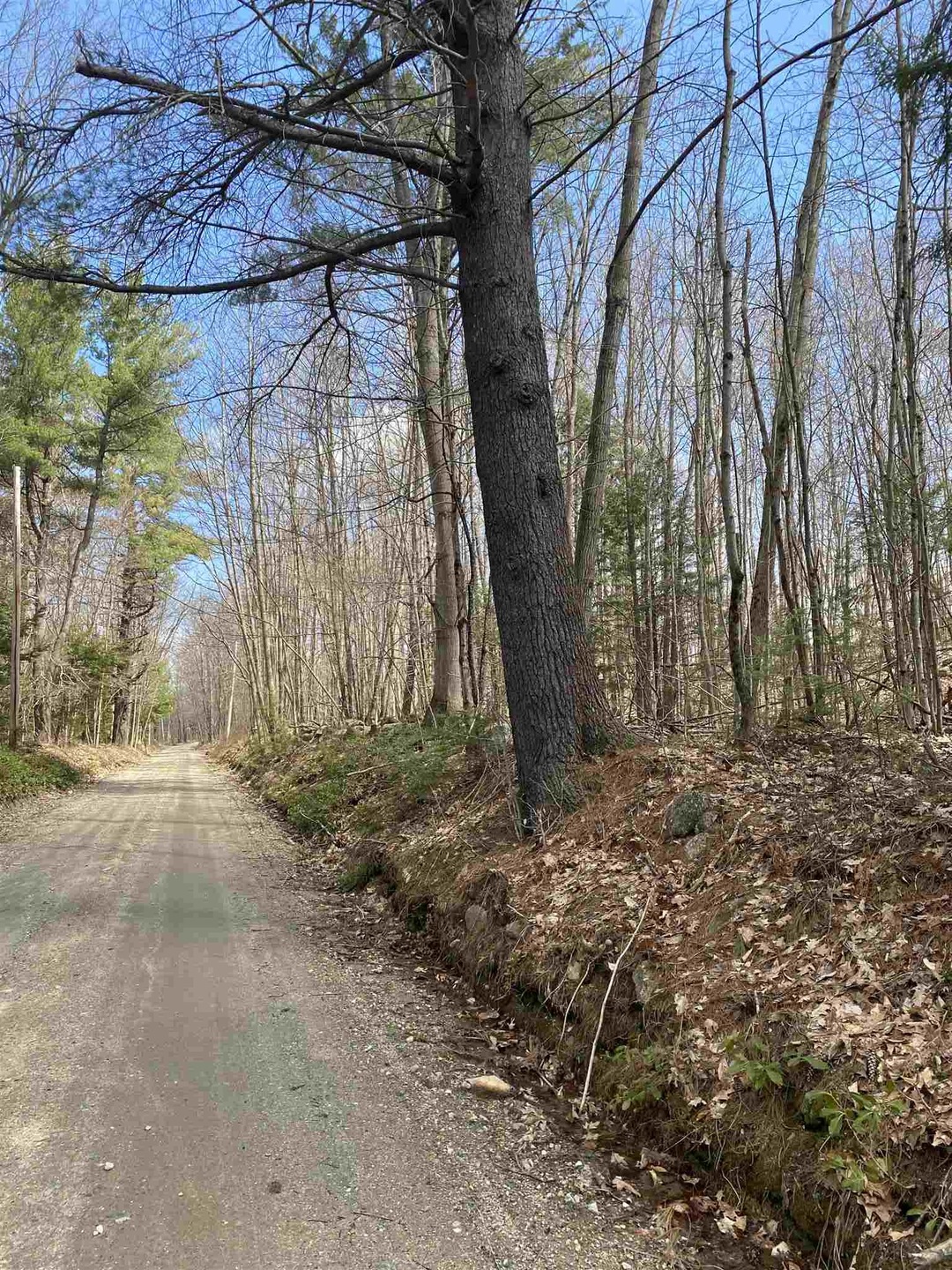 46 Fullam Pond Rd, Winchester, NH 03470 - photo 1