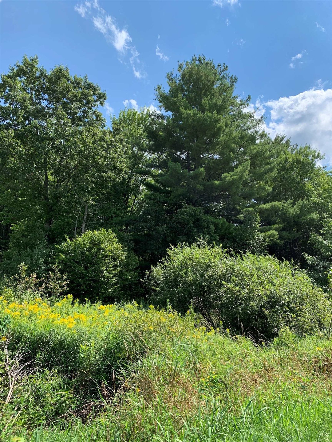 W16471 Old 14 Rd, Rice Lake, WI 54868 - photo 1